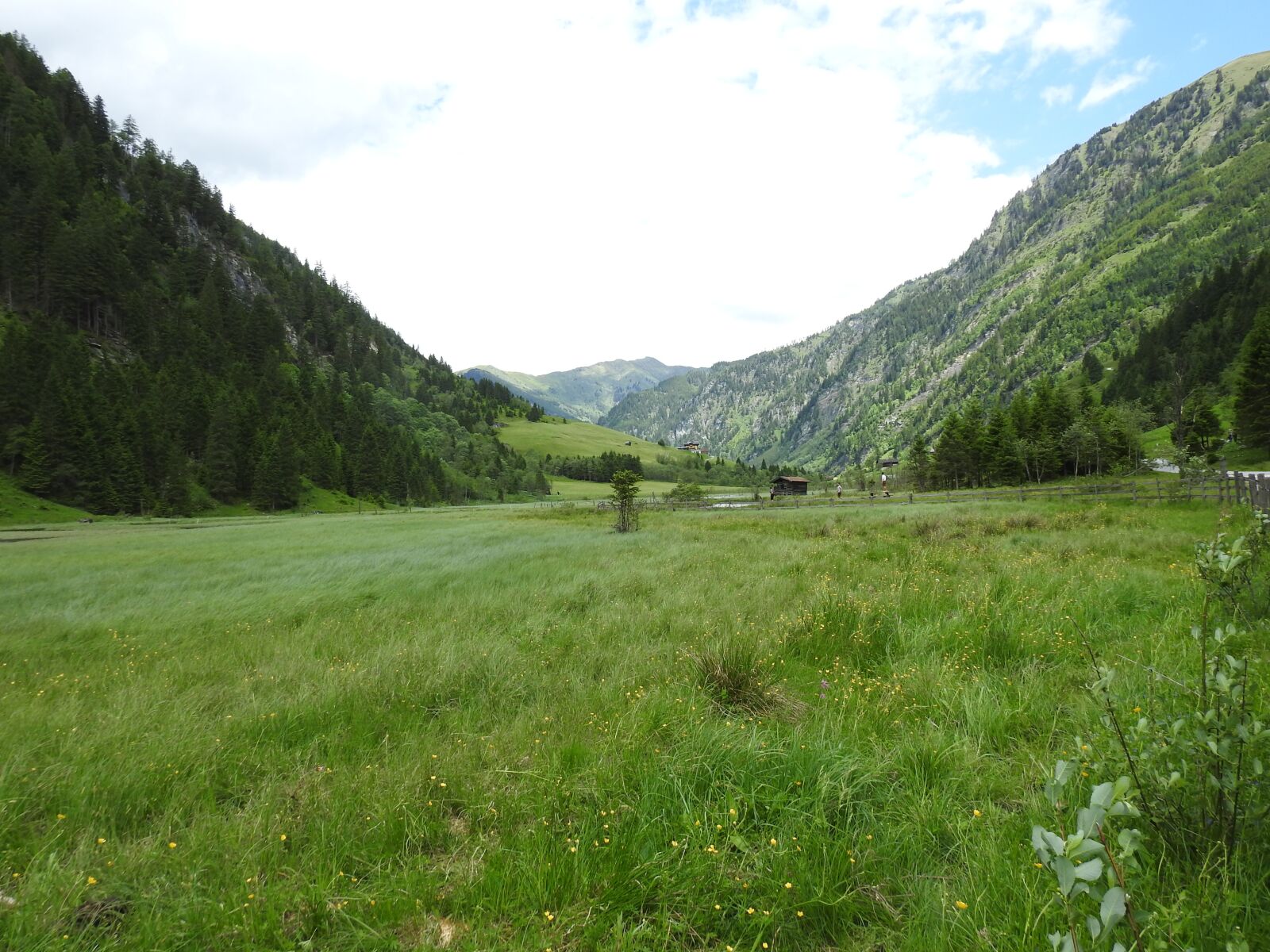 Nikon Coolpix P900 sample photo. Austria, mountains, meadow photography