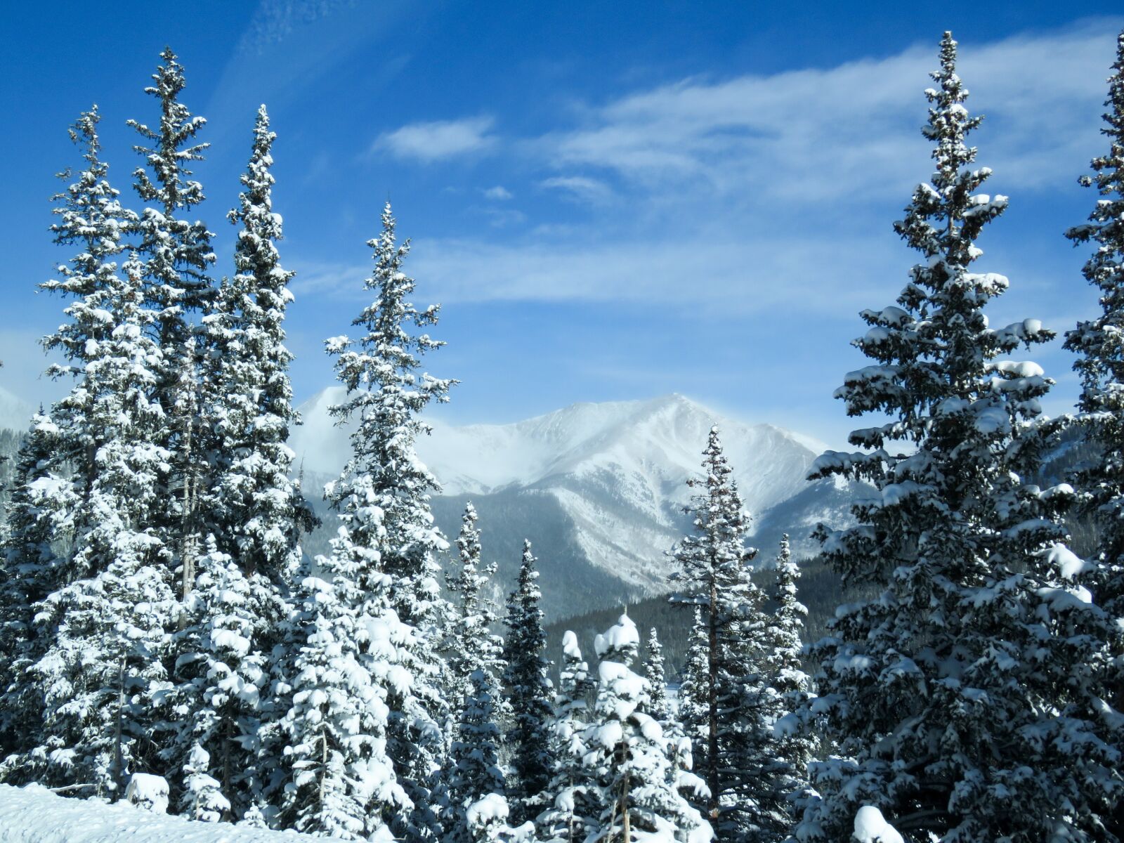 Canon PowerShot SX60 HS sample photo. Mountains, trees, snow photography