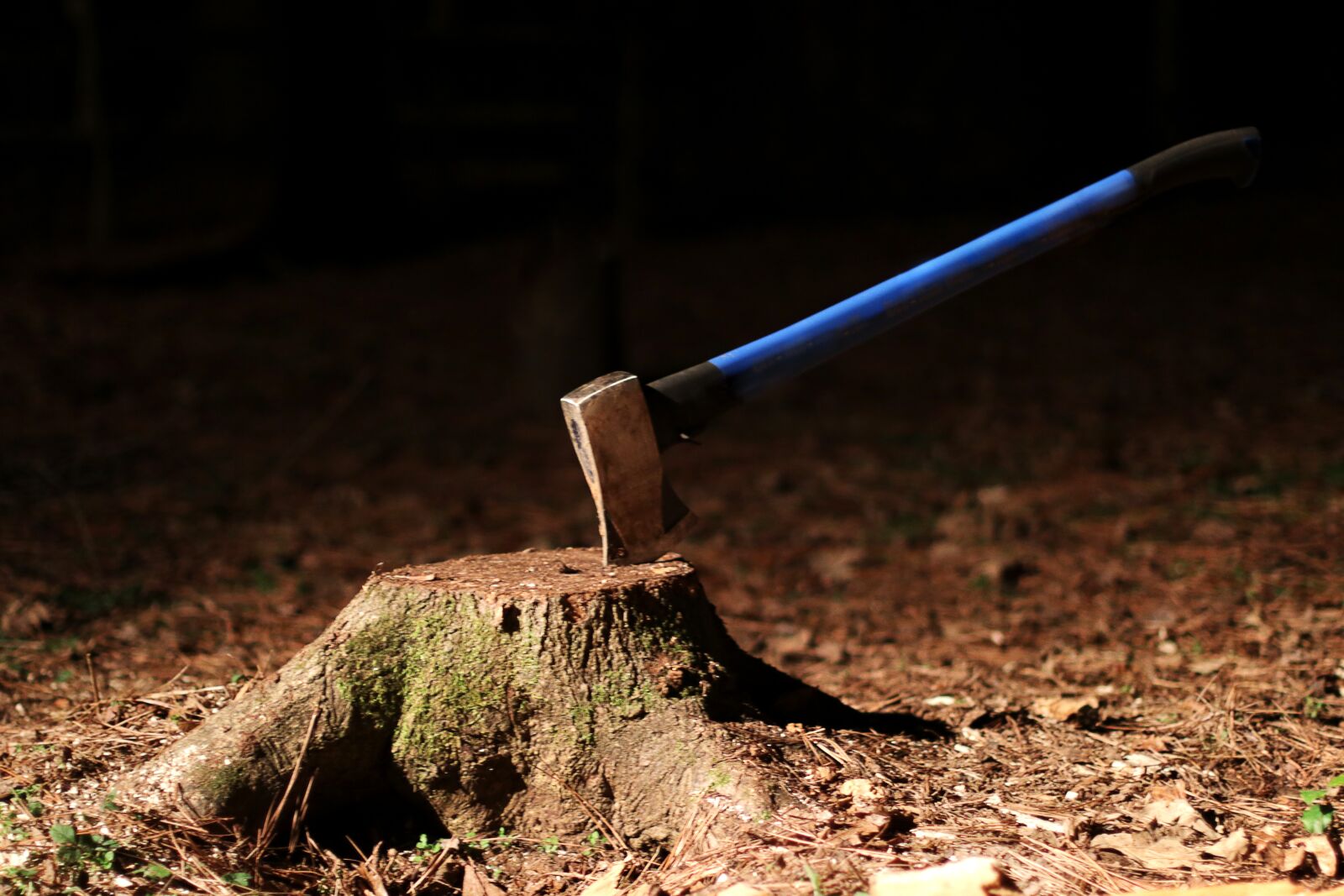 Canon EOS 80D + Canon EF 50mm F1.4 USM sample photo. Tree stump, axe, wood photography