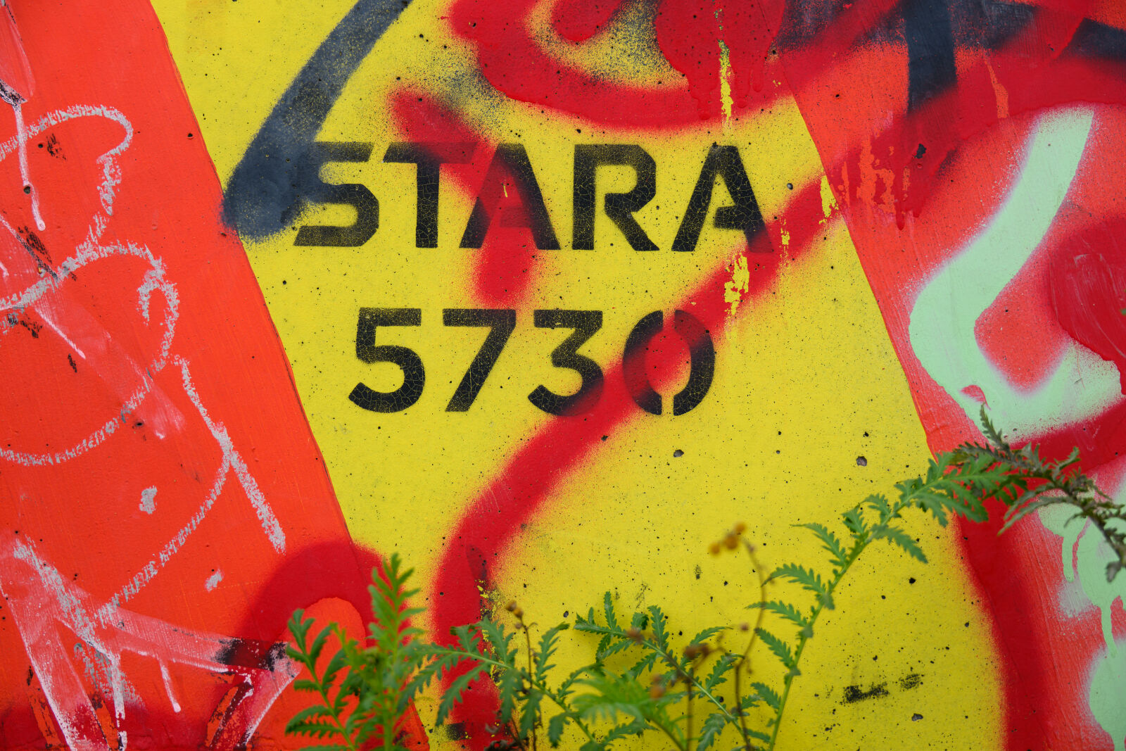 Nikon Z8 sample photo. Stara graffiti photography