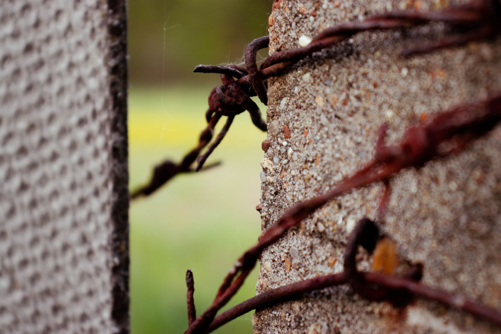 Canon EOS 200D (EOS Rebel SL2 / EOS Kiss X9) sample photo. Fence, wire, barbed wire photography