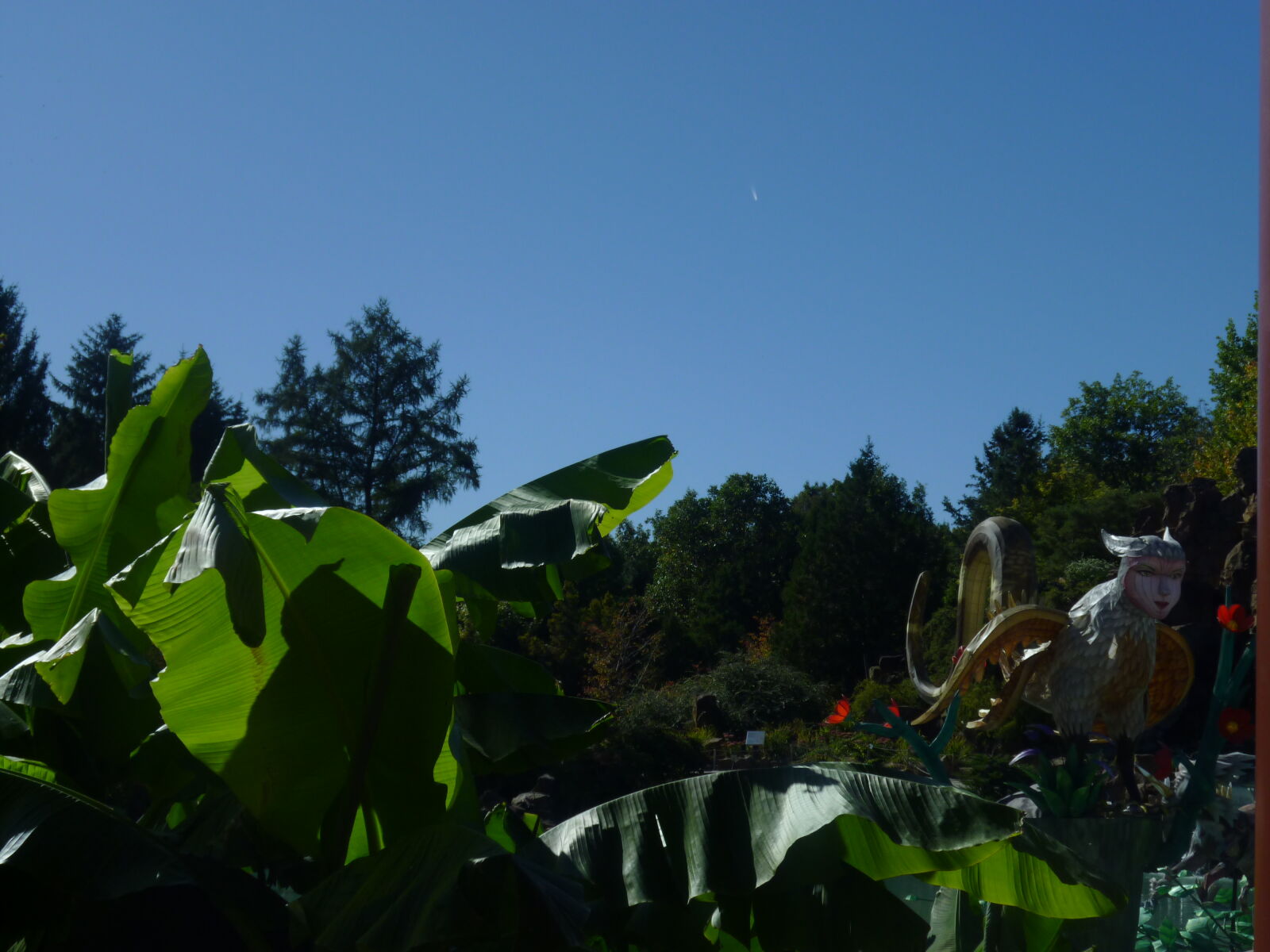 Panasonic DMC-ZR1 sample photo