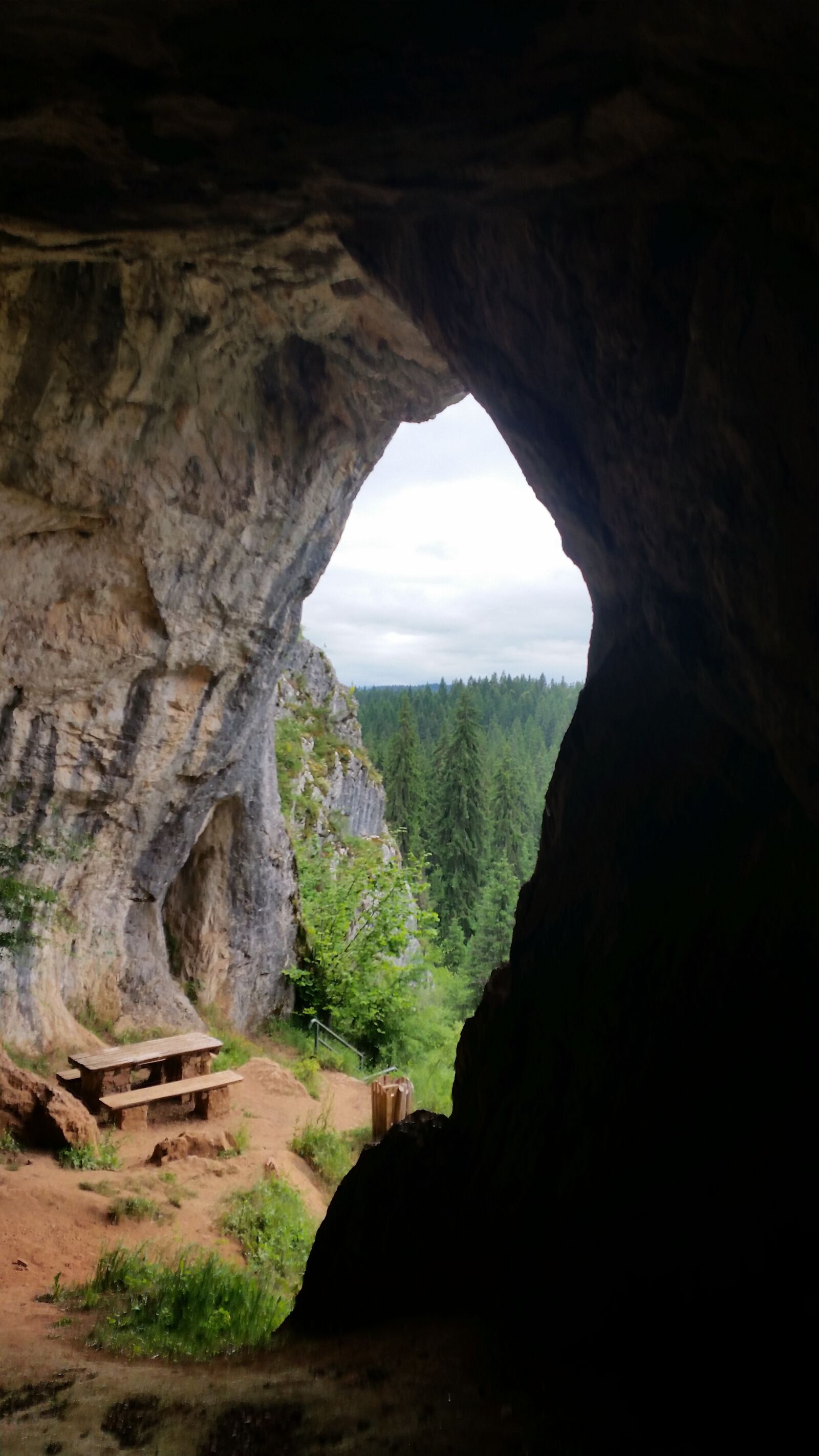 Samsung Galaxy S5 sample photo. Cave, wood, nature photography