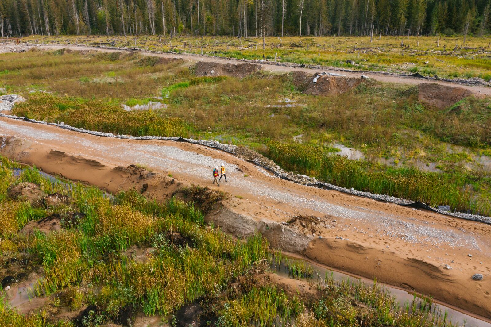 Hasselblad L1D-20c sample photo. Mount polley, environmental recovery photography