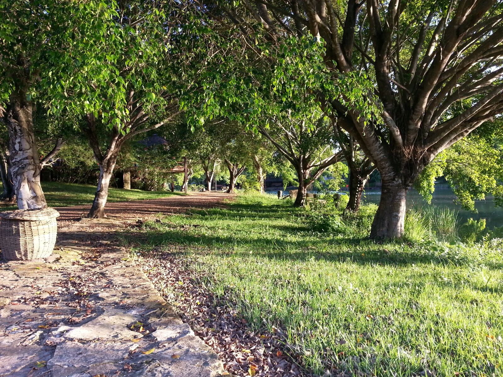Samsung Galaxy Note2 sample photo. Path, road, trees photography