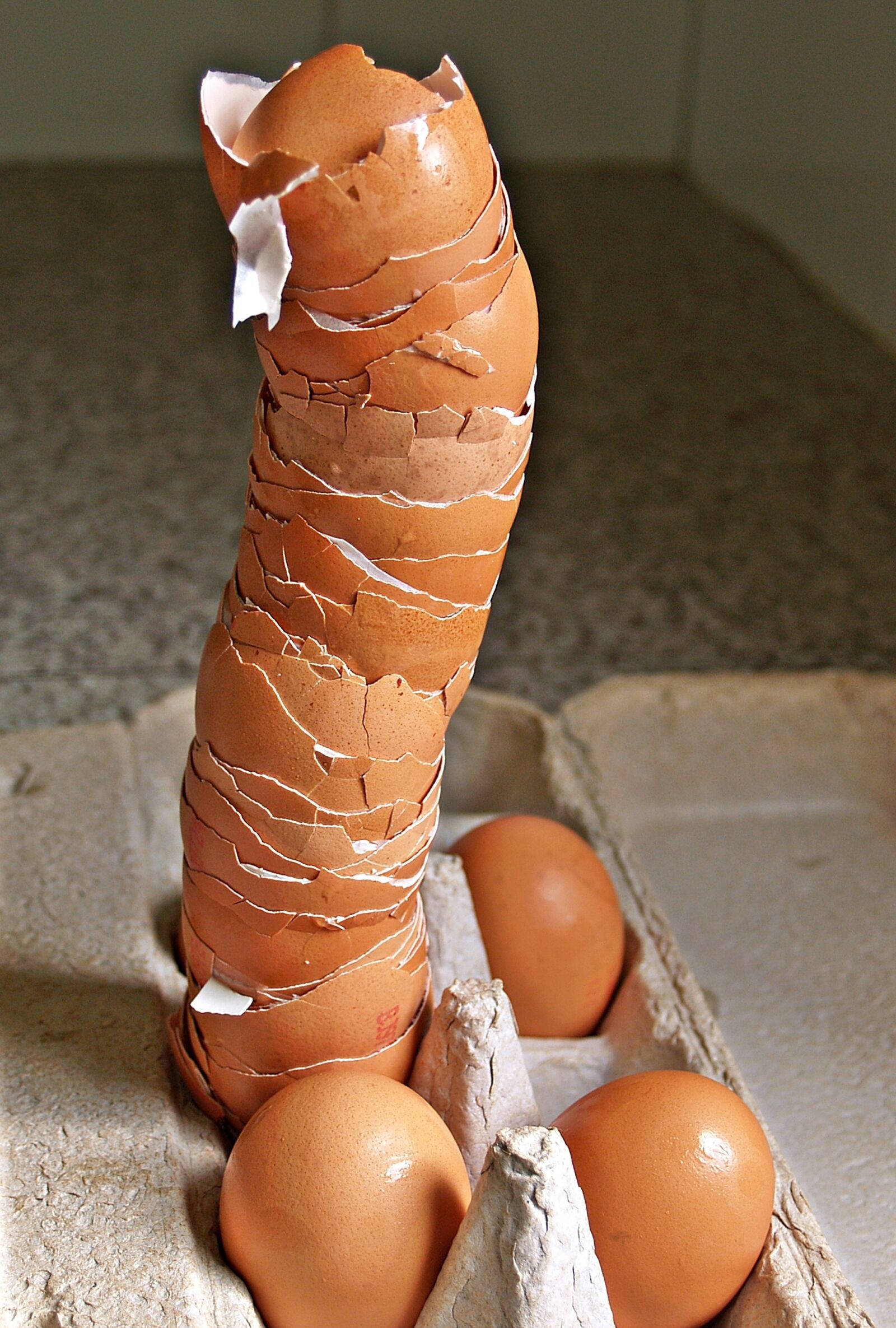 Olympus E-300 (EVOLT E-300) sample photo. Eggshells, tall, pile photography