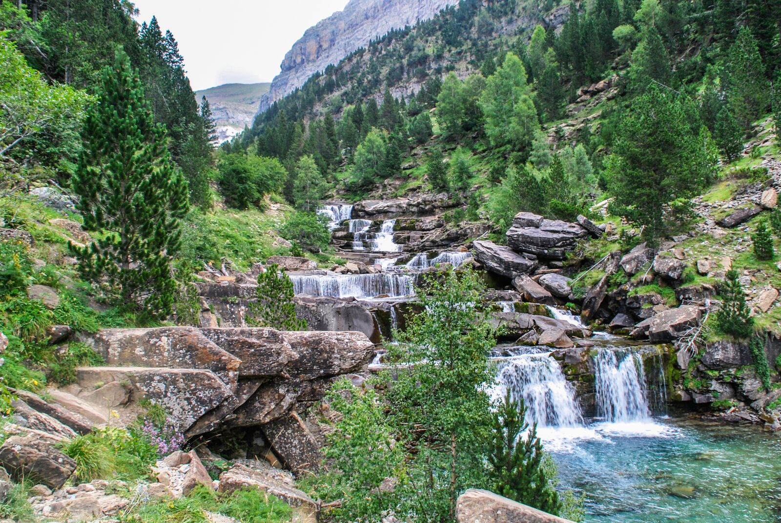 Nikon D60 sample photo. Body of water, nature photography