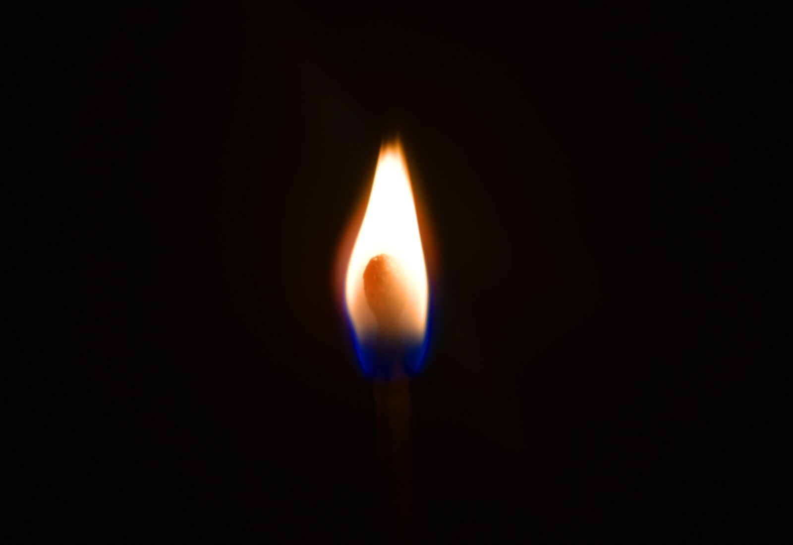 Nikon D3400 sample photo. Fire, match, flame photography