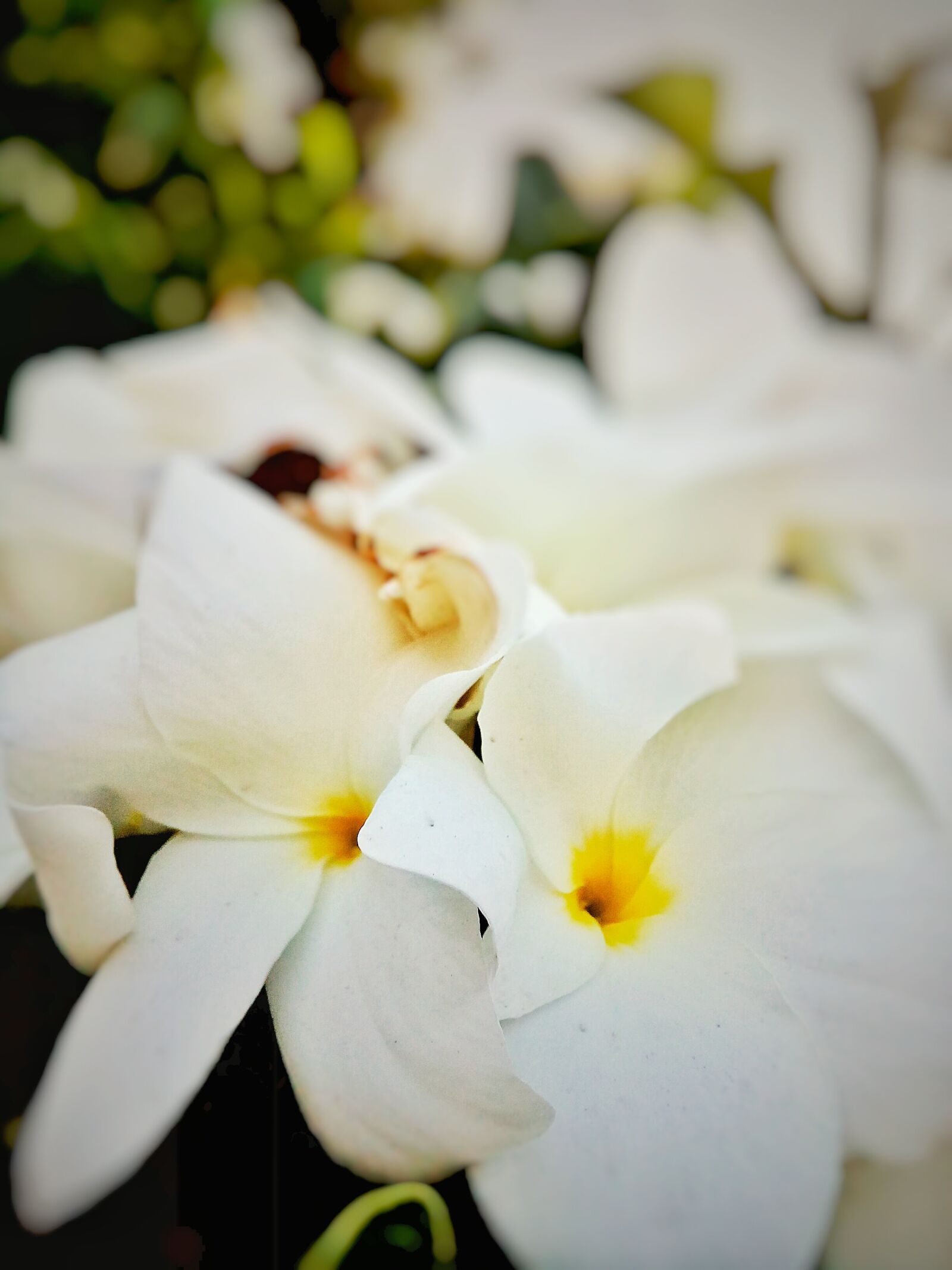 Micromax Canvas Spark sample photo