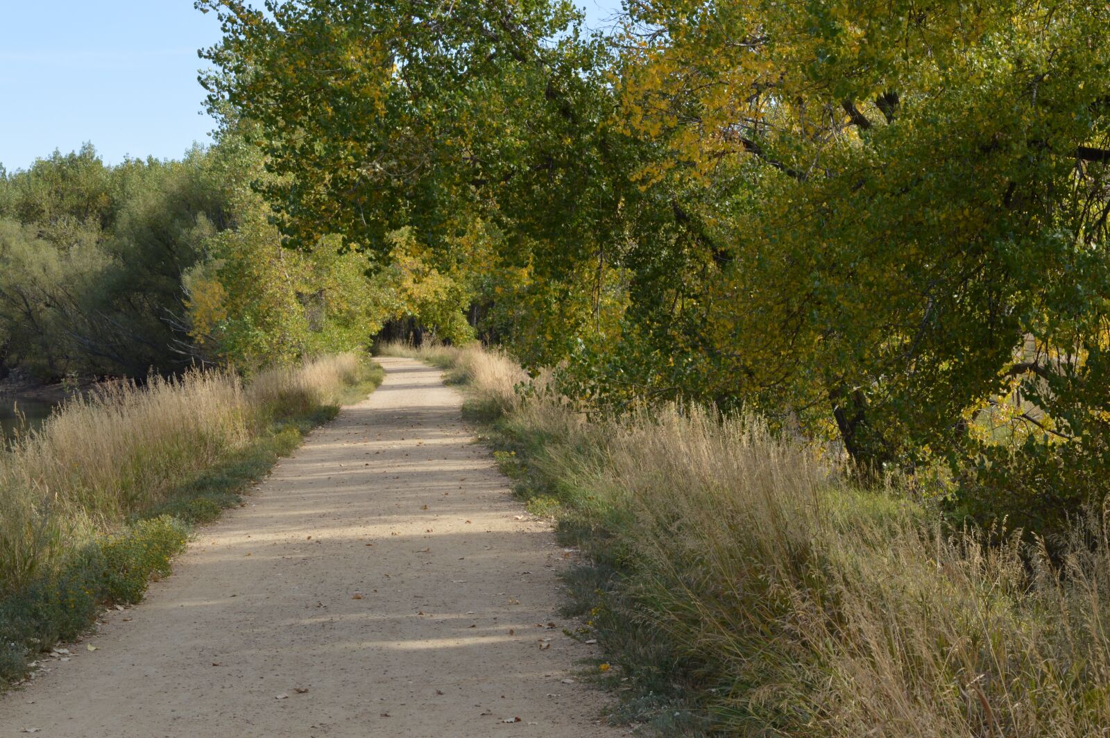 Nikon D3200 sample photo. Path, trees, fall photography