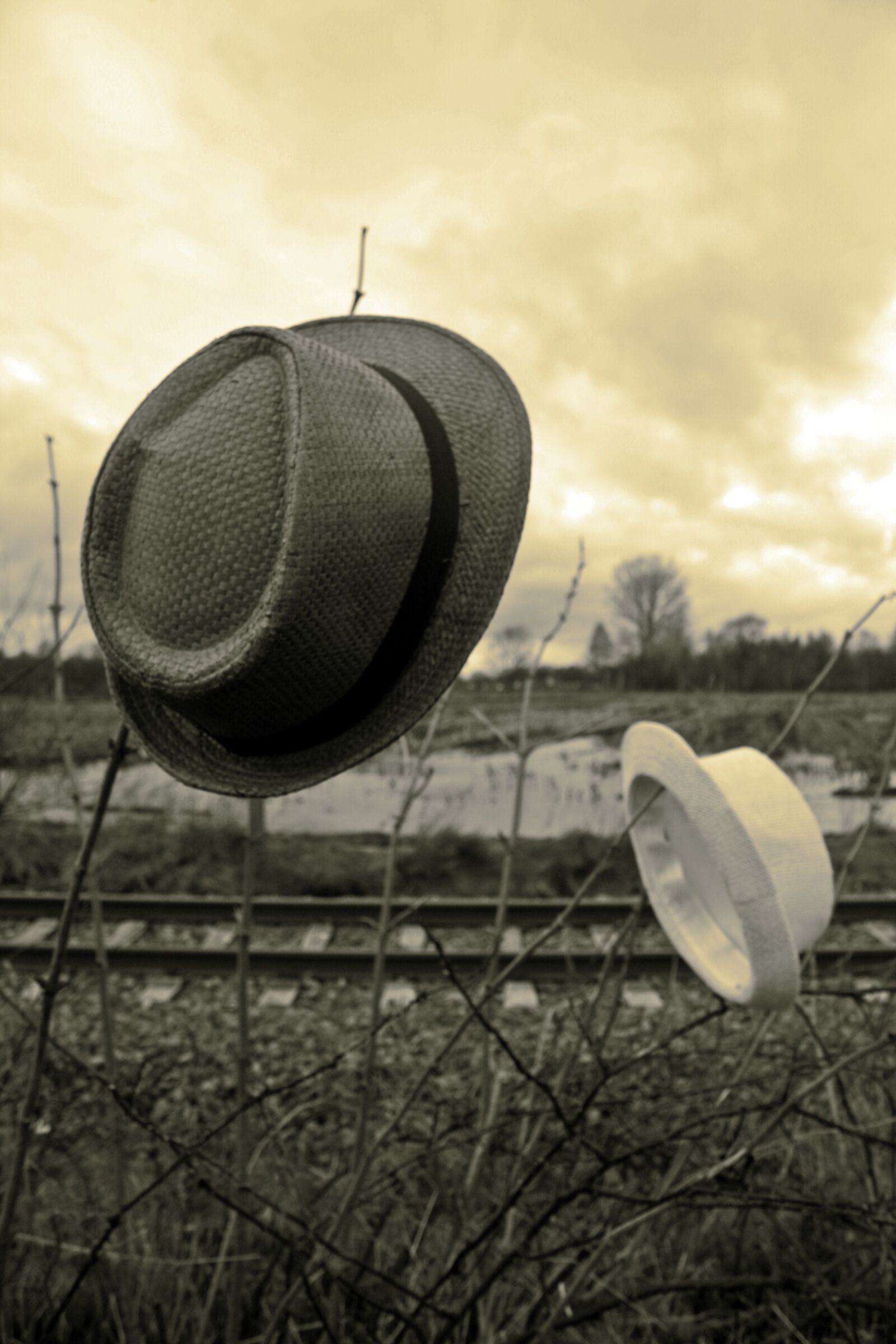 Canon EOS 1000D (EOS Digital Rebel XS / EOS Kiss F) sample photo. Straw hat, pair, sky photography