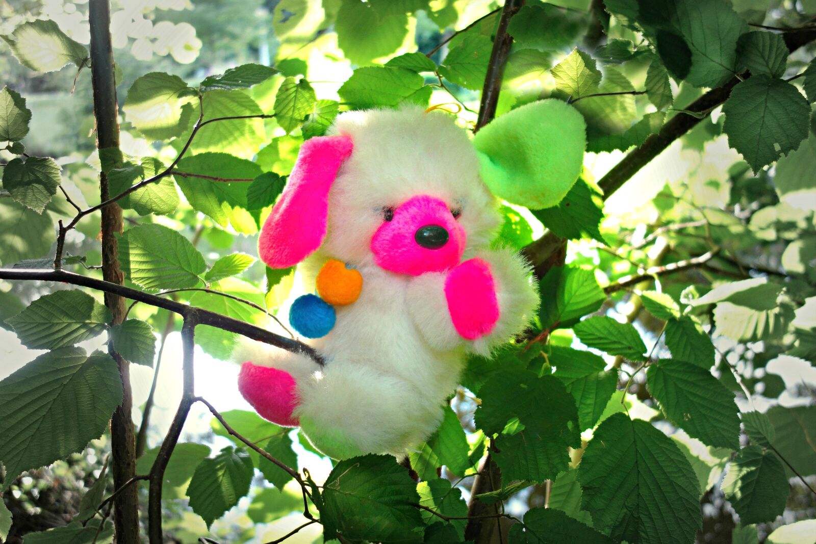 Sony Cyber-shot DSC-RX100 sample photo. Teddy, bear, toy photography