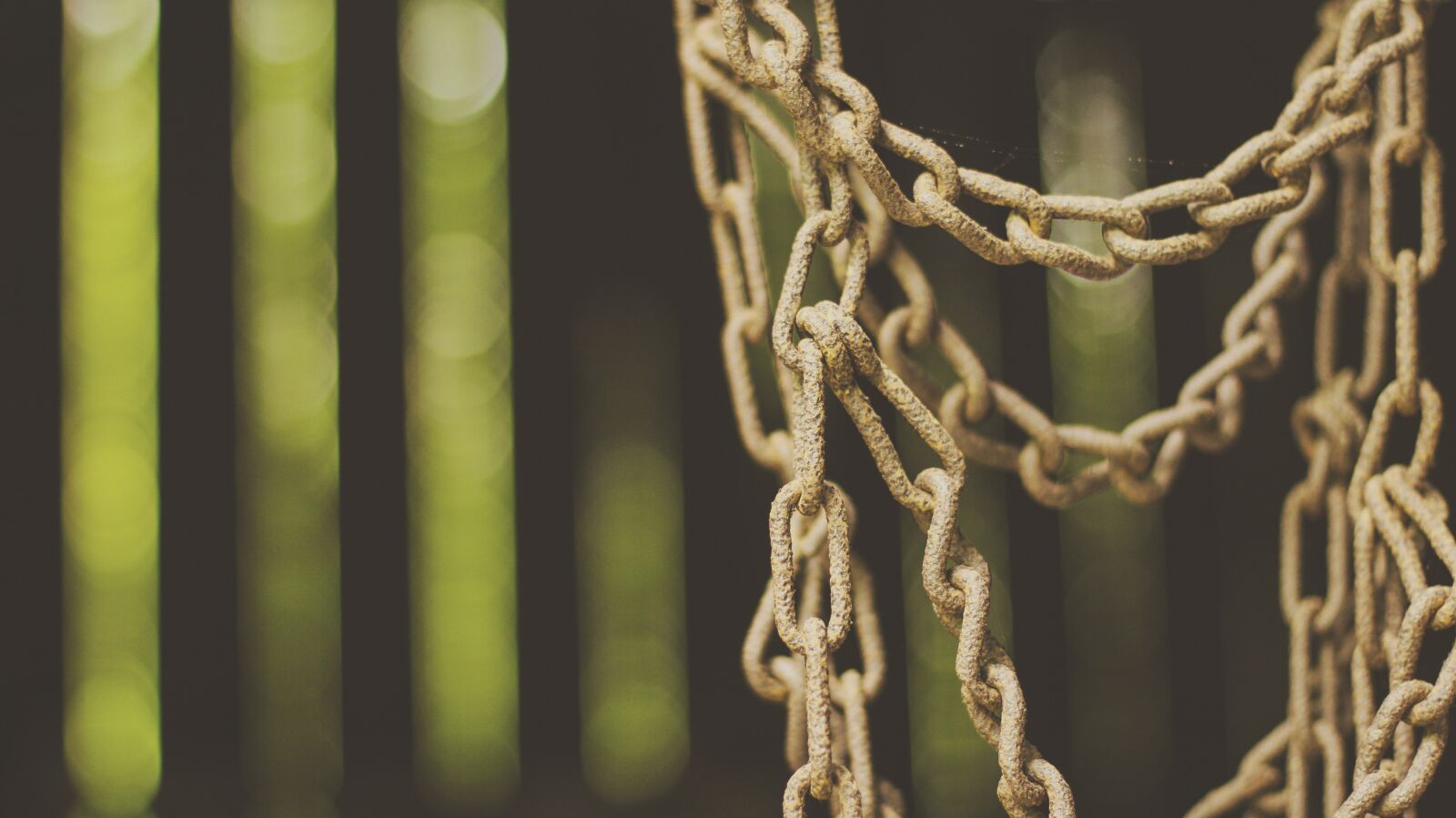 Canon EOS 60D + Canon EF 50mm F1.4 USM sample photo. Blur, close-up, rusty photography