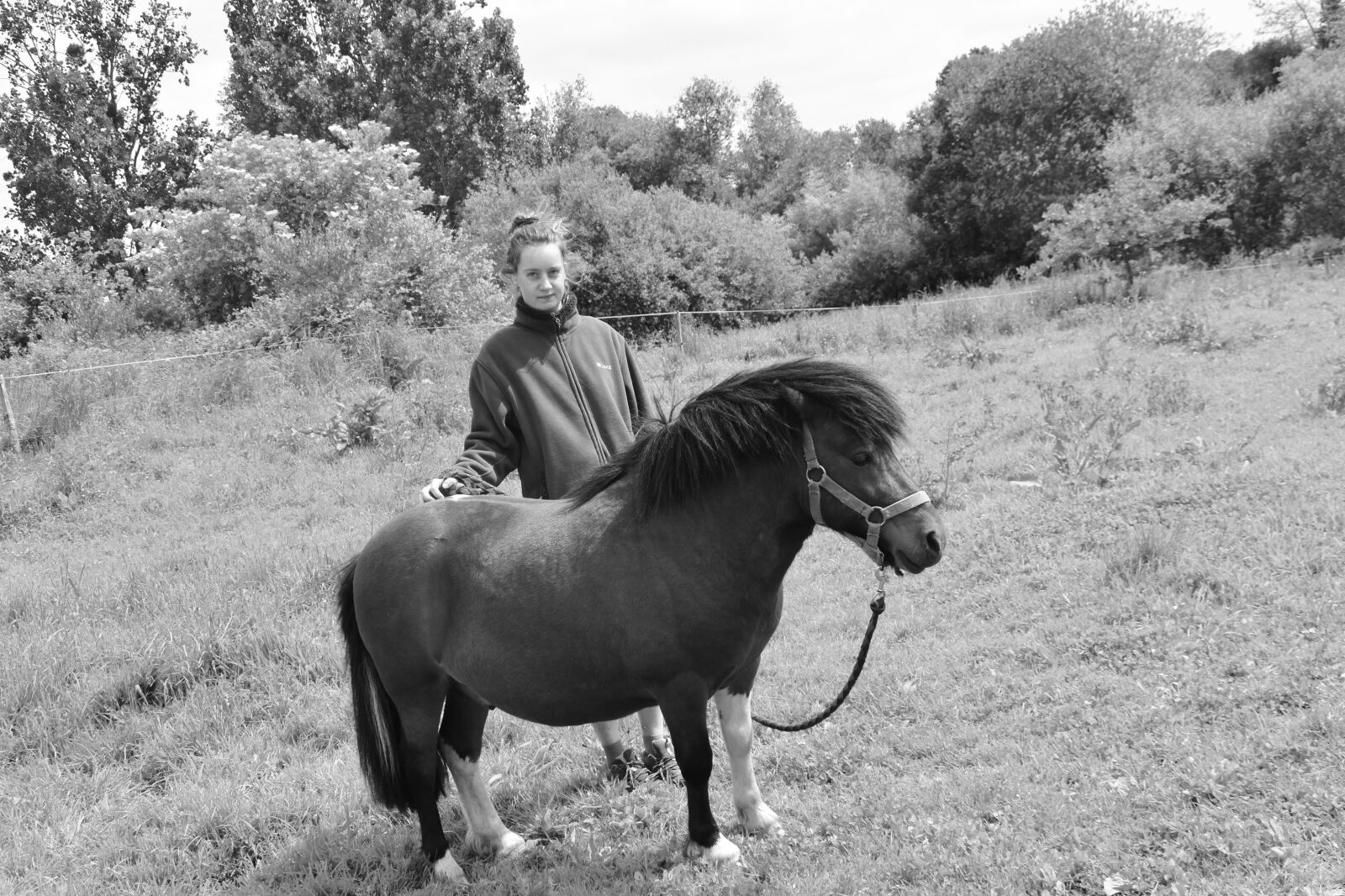Nikon D5600 sample photo. Shetland pony, young girl photography