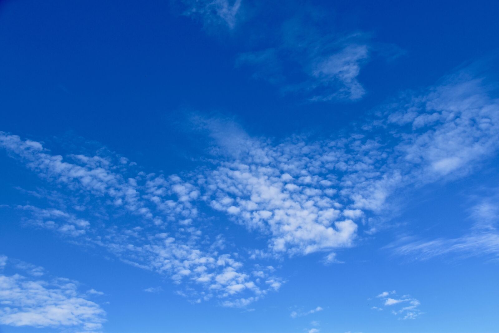 Nikon D5600 sample photo. Sky, white clouds, cloudy photography