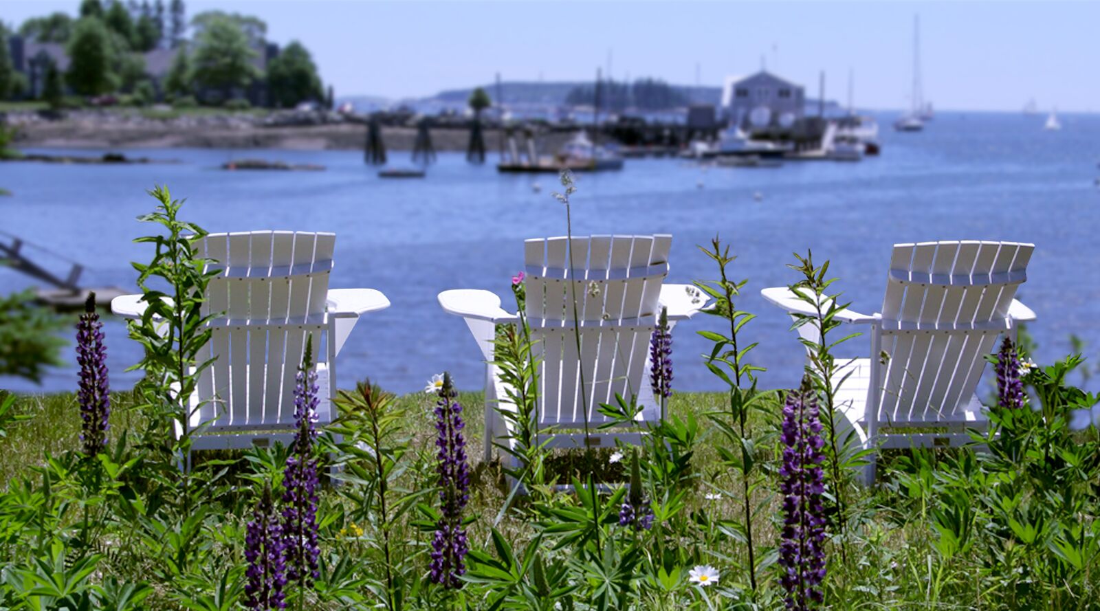 Canon EOS 60D + Canon EF-S 18-55mm F3.5-5.6 II sample photo. Adirondack chairs, relax, harbor photography