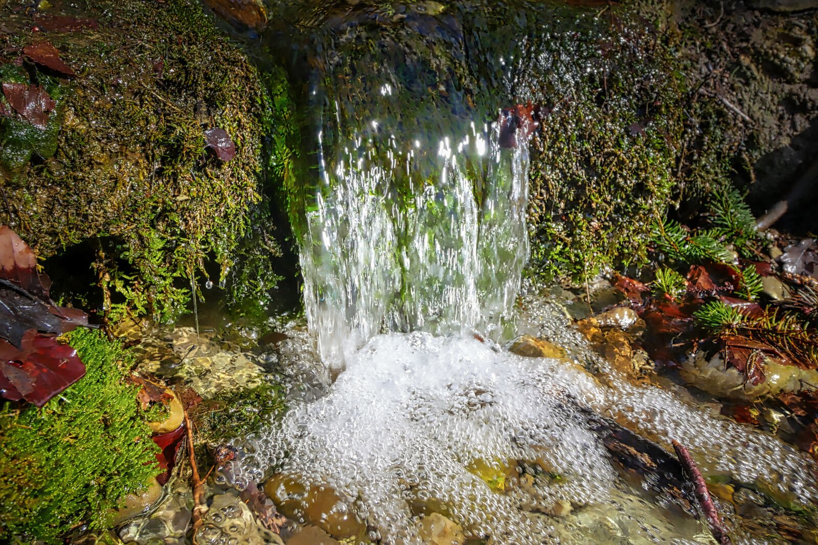 Panasonic Lumix DMC-GX8 sample photo. Nature, waters, river photography