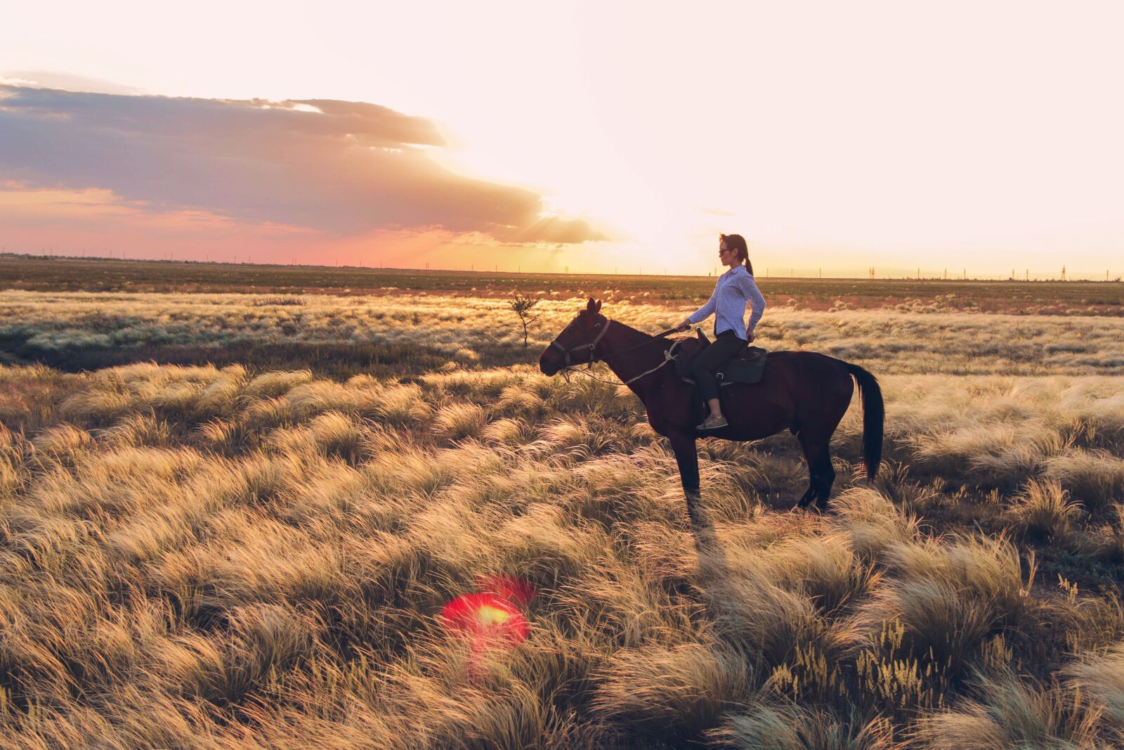 Canon EOS 70D sample photo. Horseback riding, horses, horse photography