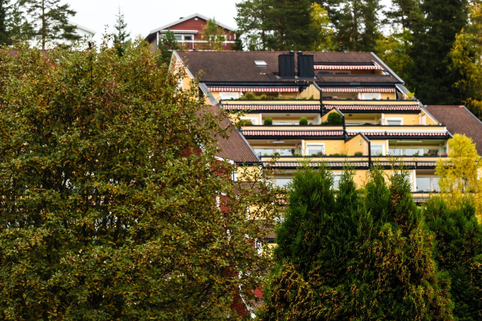 Canon EOS 7D Mark II sample photo. House, trees, building photography