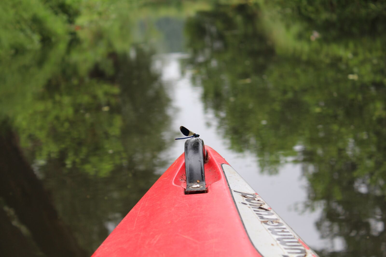Canon EOS 650D (EOS Rebel T4i / EOS Kiss X6i) sample photo. Spreewald, water, boat photography