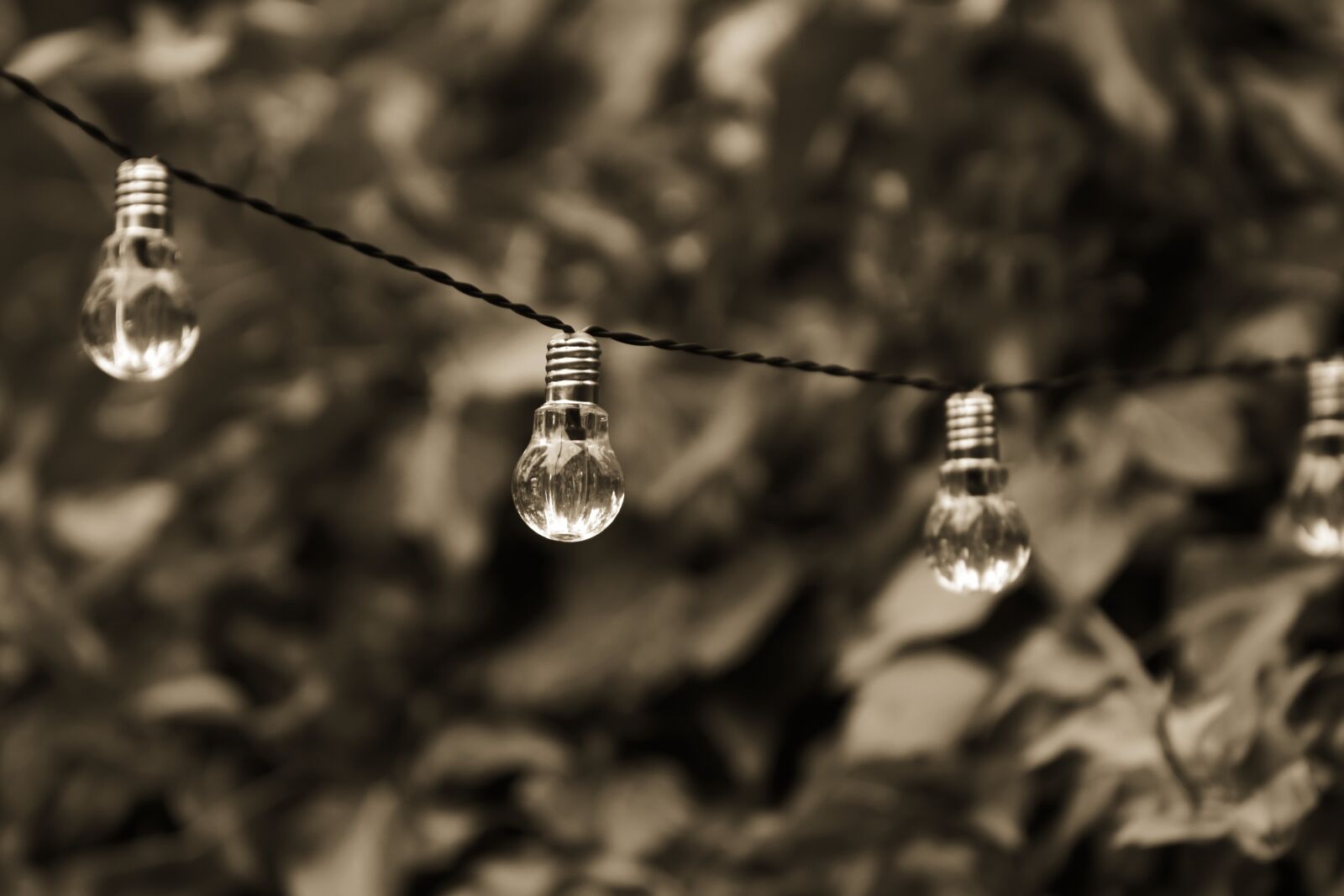 Nikon D7200 sample photo. Light bulb, energy, nature photography