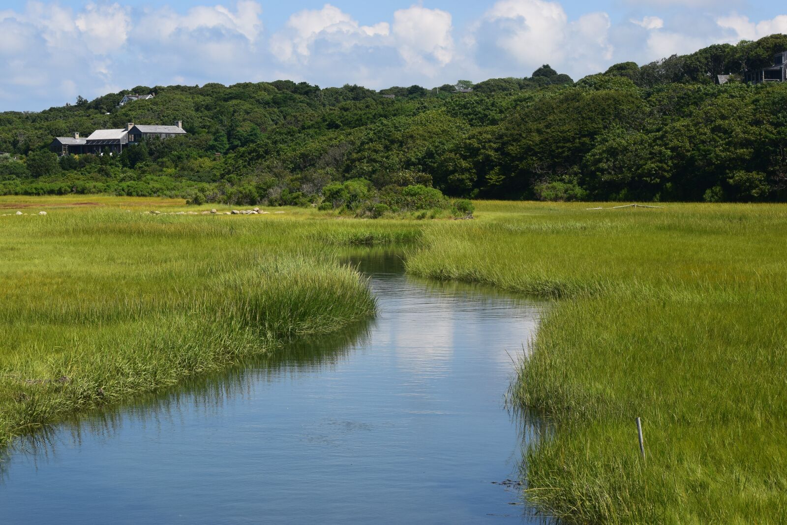 Nikon D3300 sample photo. River, path, water photography
