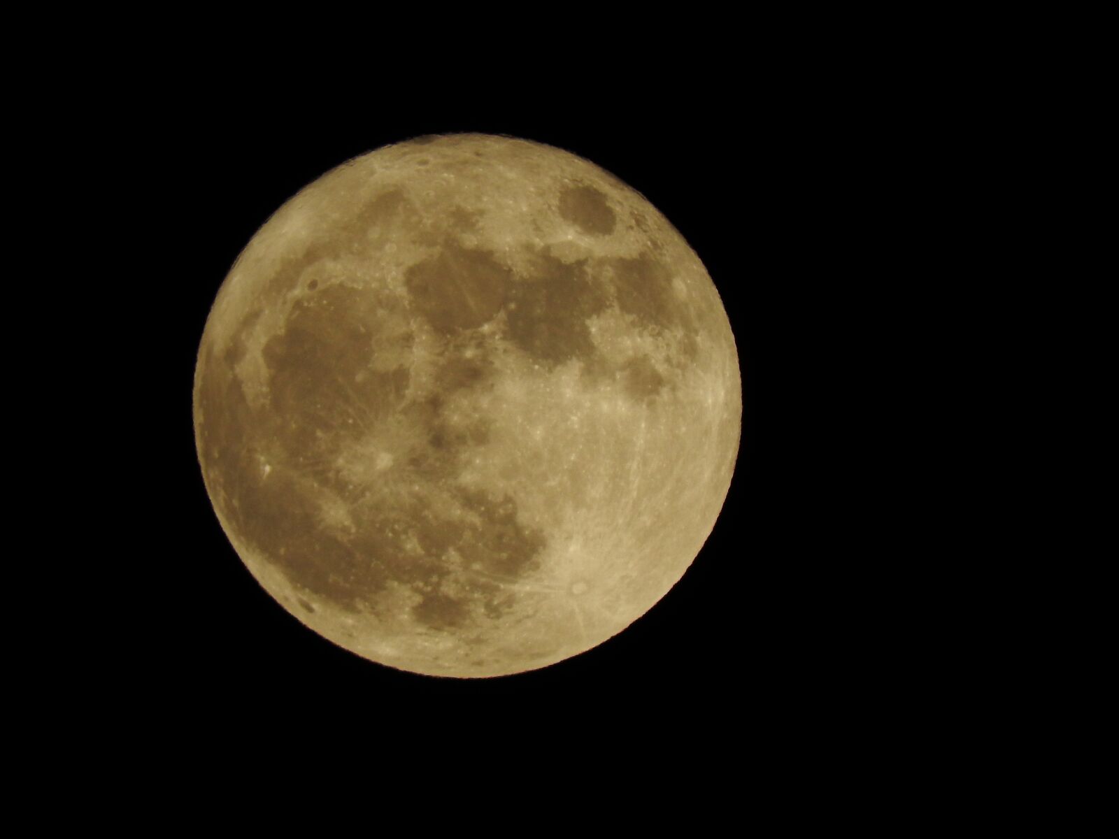 Nikon Coolpix P610 sample photo. The moon, most large photography