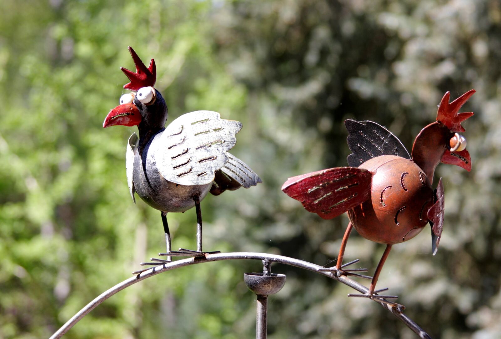 Canon EOS 40D sample photo. Bird, hahn, animal photography