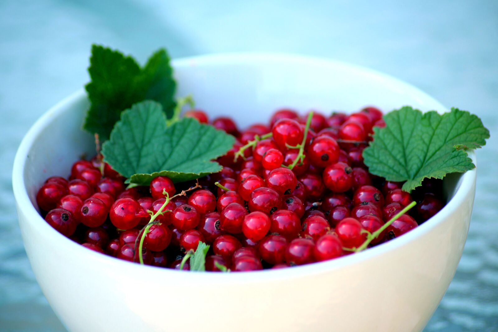Canon EOS 1200D (EOS Rebel T5 / EOS Kiss X70 / EOS Hi) sample photo. Currant, fruit, vitamins photography