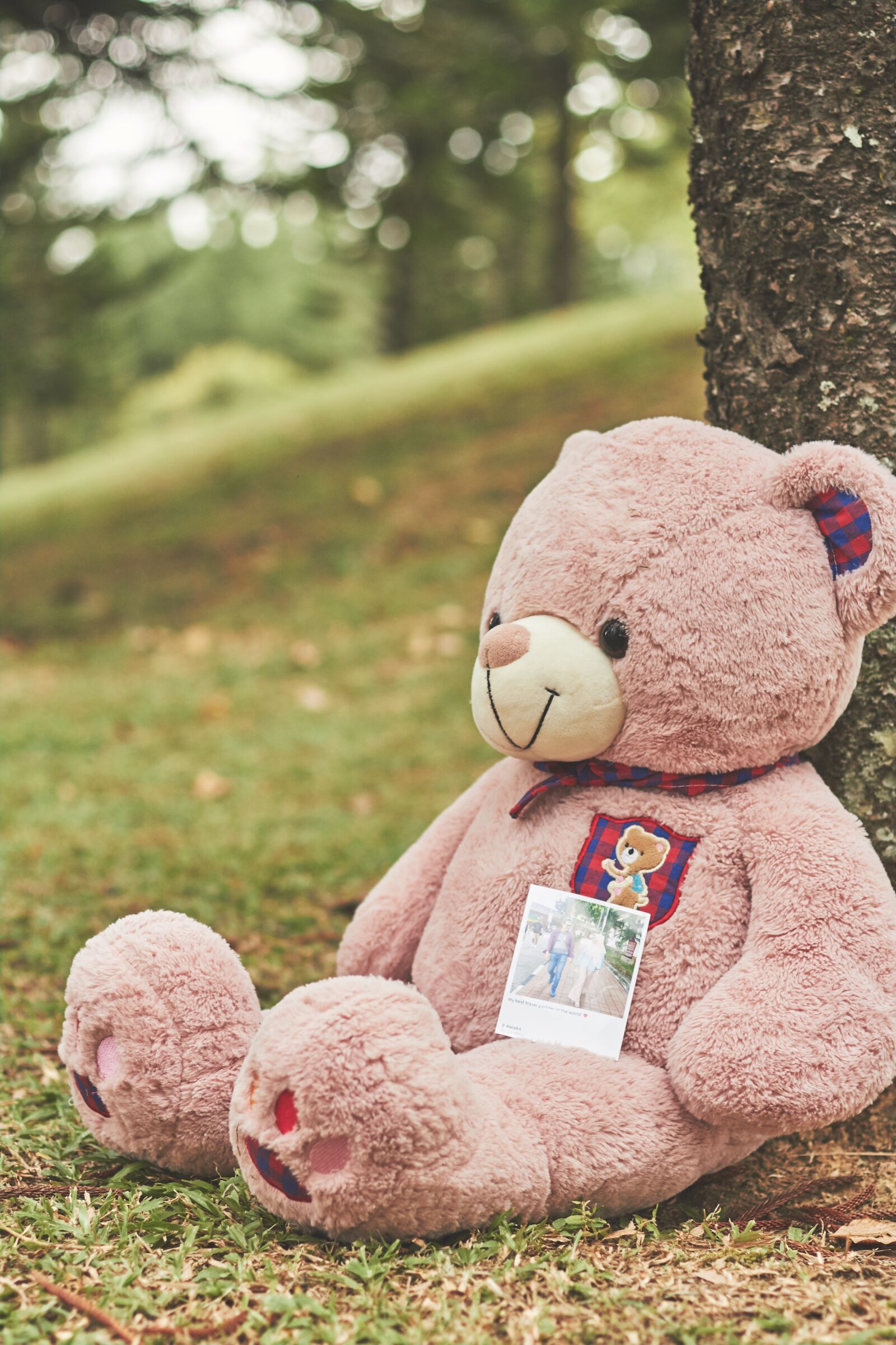 Canon EOS 700D (EOS Rebel T5i / EOS Kiss X7i) + Canon EF 50mm F1.4 USM sample photo. Teddy bear, lonely, toys photography