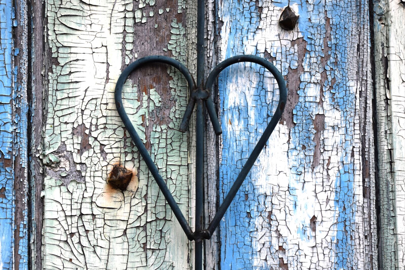 Nikon D7200 sample photo. Heart, love, heart shape photography