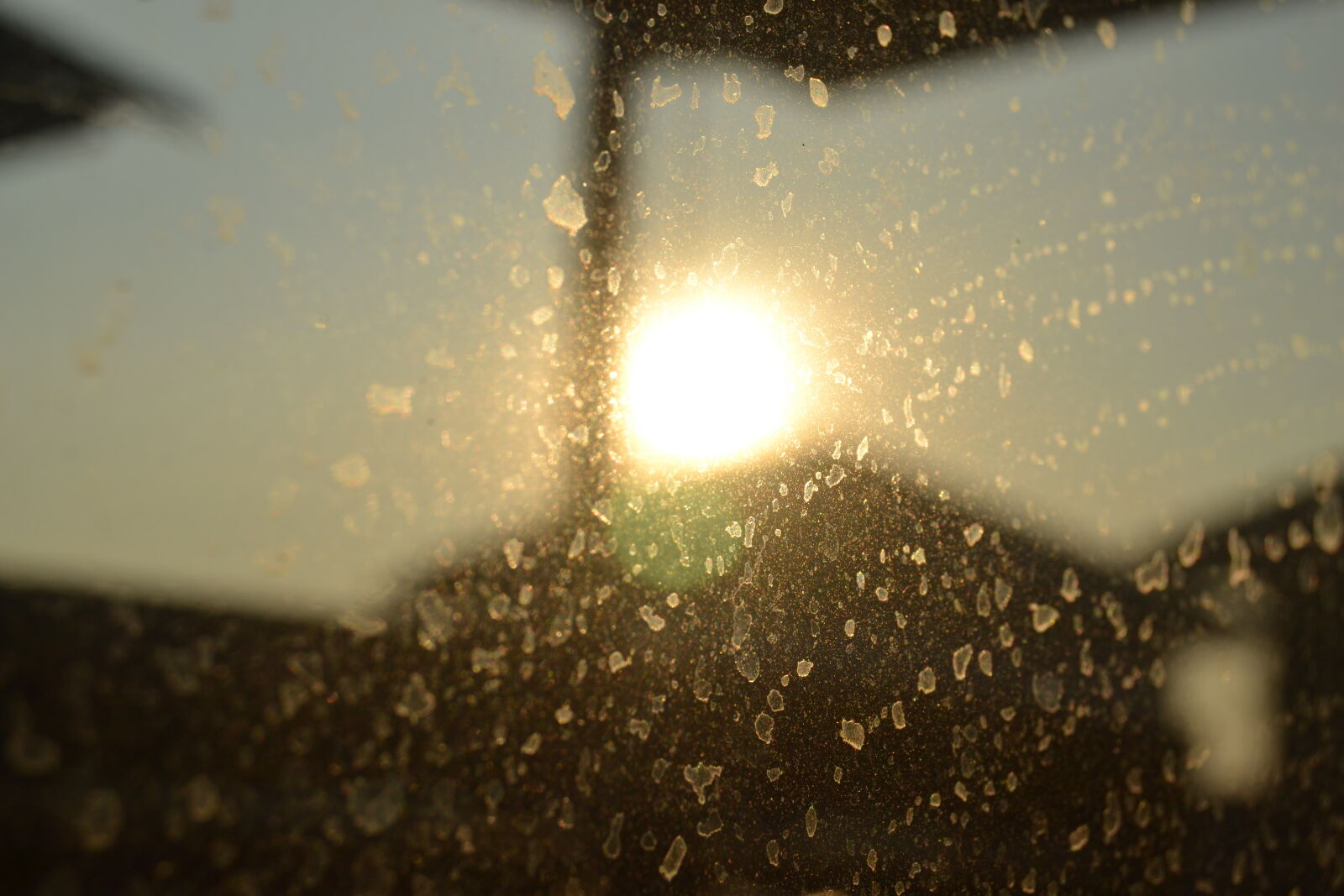 Nikon D3100 sample photo. Sunrise, panorama, sun photography