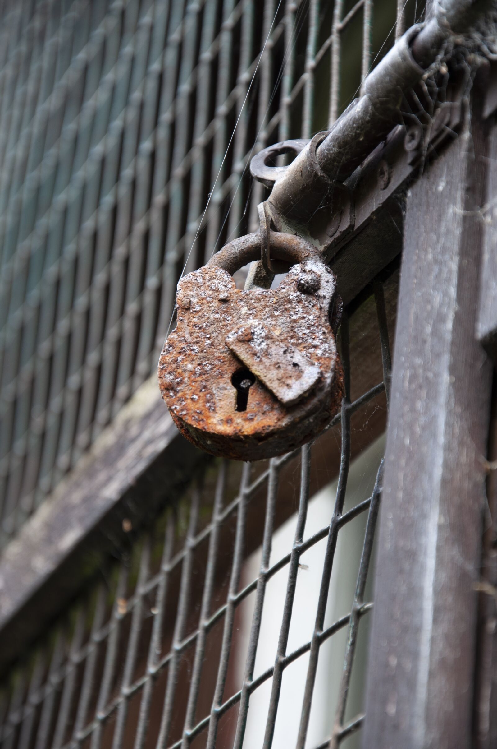 Nikon D90 sample photo. Rusty, padlock, lock photography