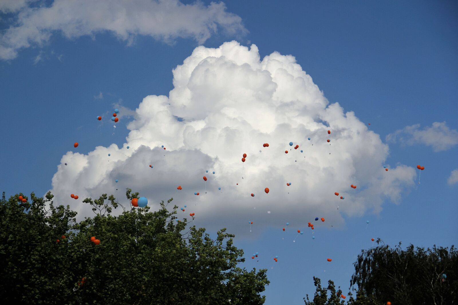 Canon EOS 550D (EOS Rebel T2i / EOS Kiss X4) sample photo. Air balloon competition, thick photography