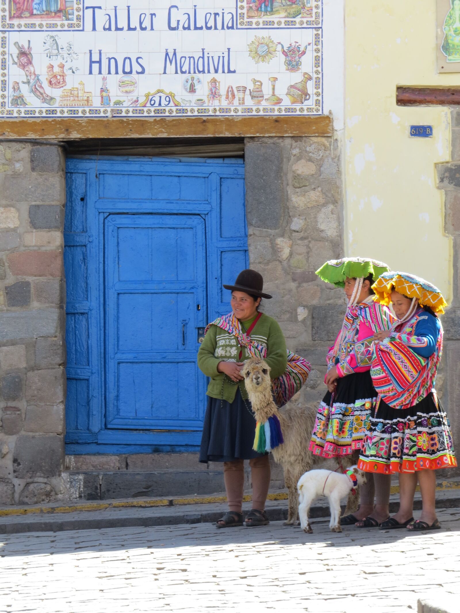 Canon PowerShot SX50 HS sample photo. Peru, animals, costume photography