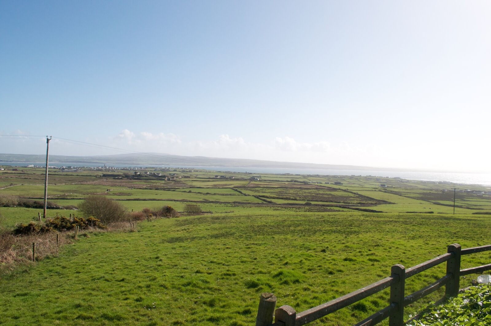 Nikon D5000 sample photo. Green, pasture, grass photography