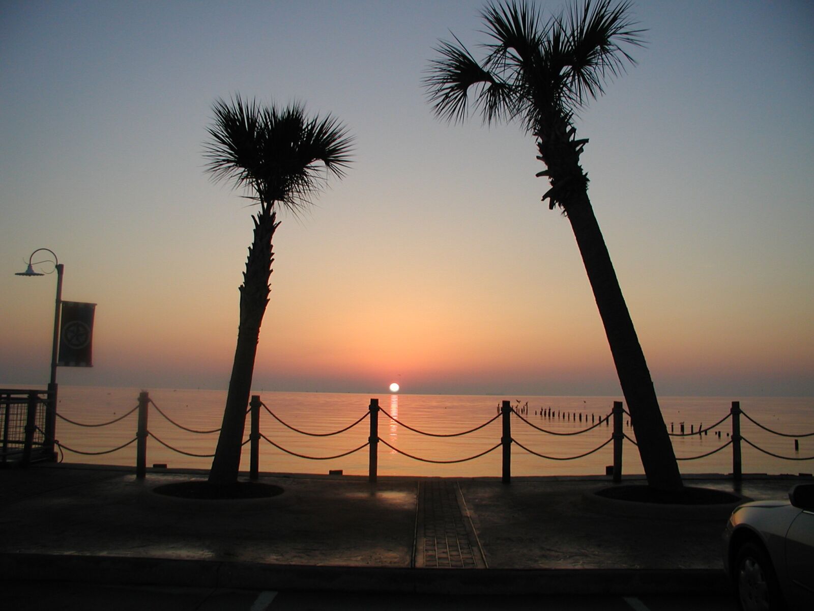 Olympus C3100Z,C3020Z sample photo. Sunrise, palm trees, morning photography