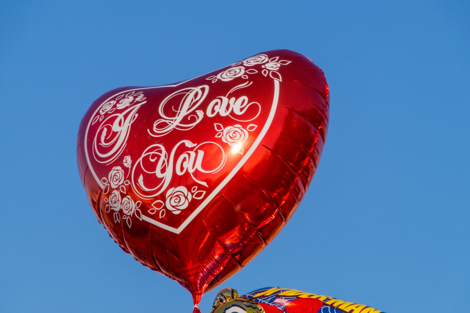 Sony SLT-A58 sample photo. Balloon, i love you photography