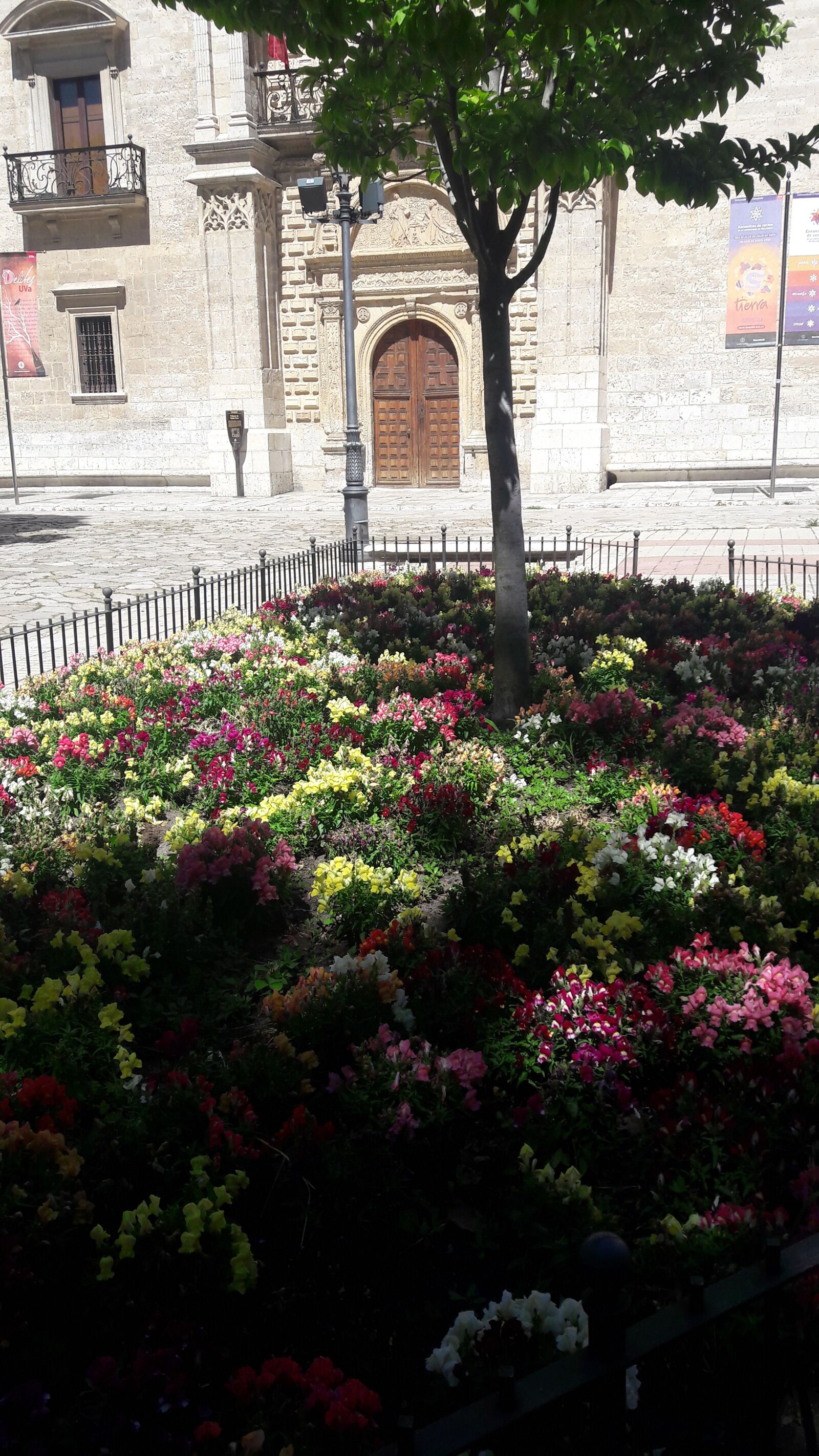 Samsung Galaxy A5(2016) sample photo. Valladolid, plaza del colegio photography