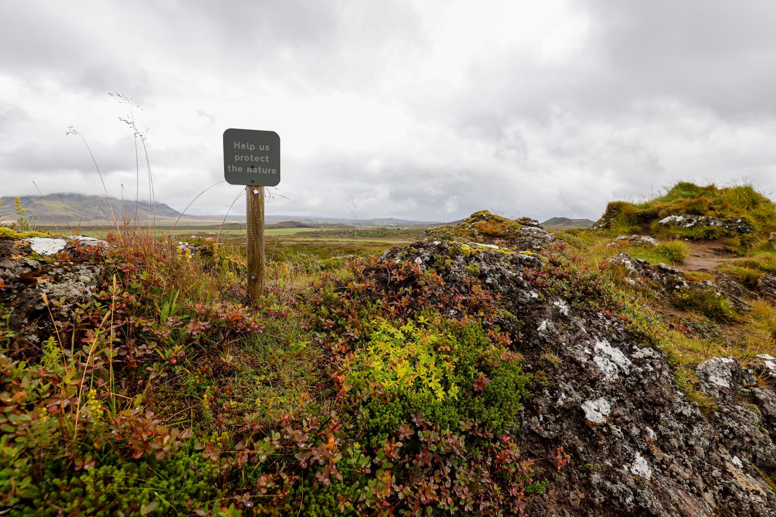 Canon EF 16-35mm F4L IS USM sample photo. Environmental protection, climate change photography