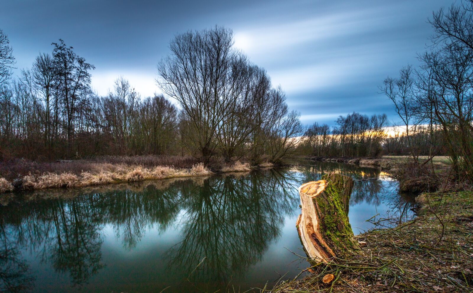 Canon EF 16-35mm F2.8L USM sample photo. Climate protection, breathe, nature photography