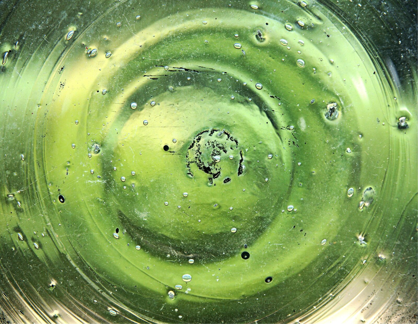 Olympus OM-D E-M5 sample photo. Glass, window, green photography