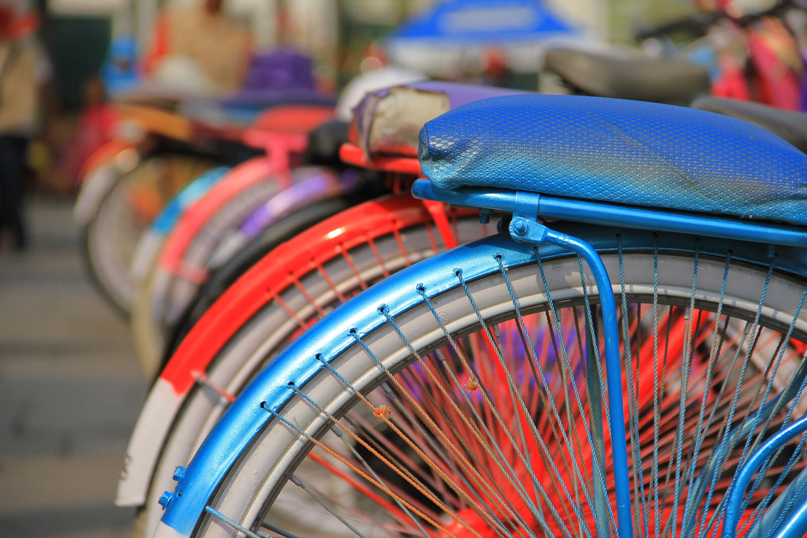 Canon EOS 7D sample photo