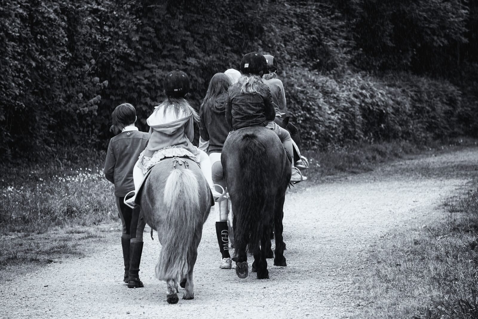 Sony E 55-210mm F4.5-6.3 OSS sample photo. Animal, cavaliers, chevaux, noir photography