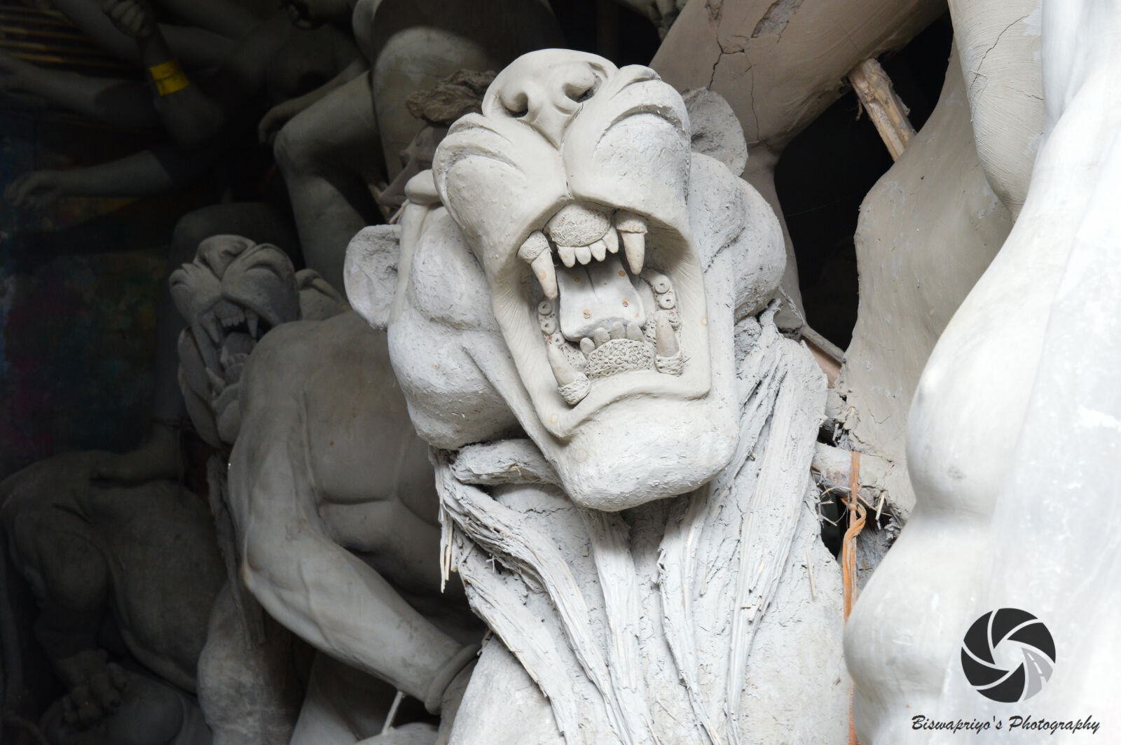 Nikon D3200 sample photo. Lion photography