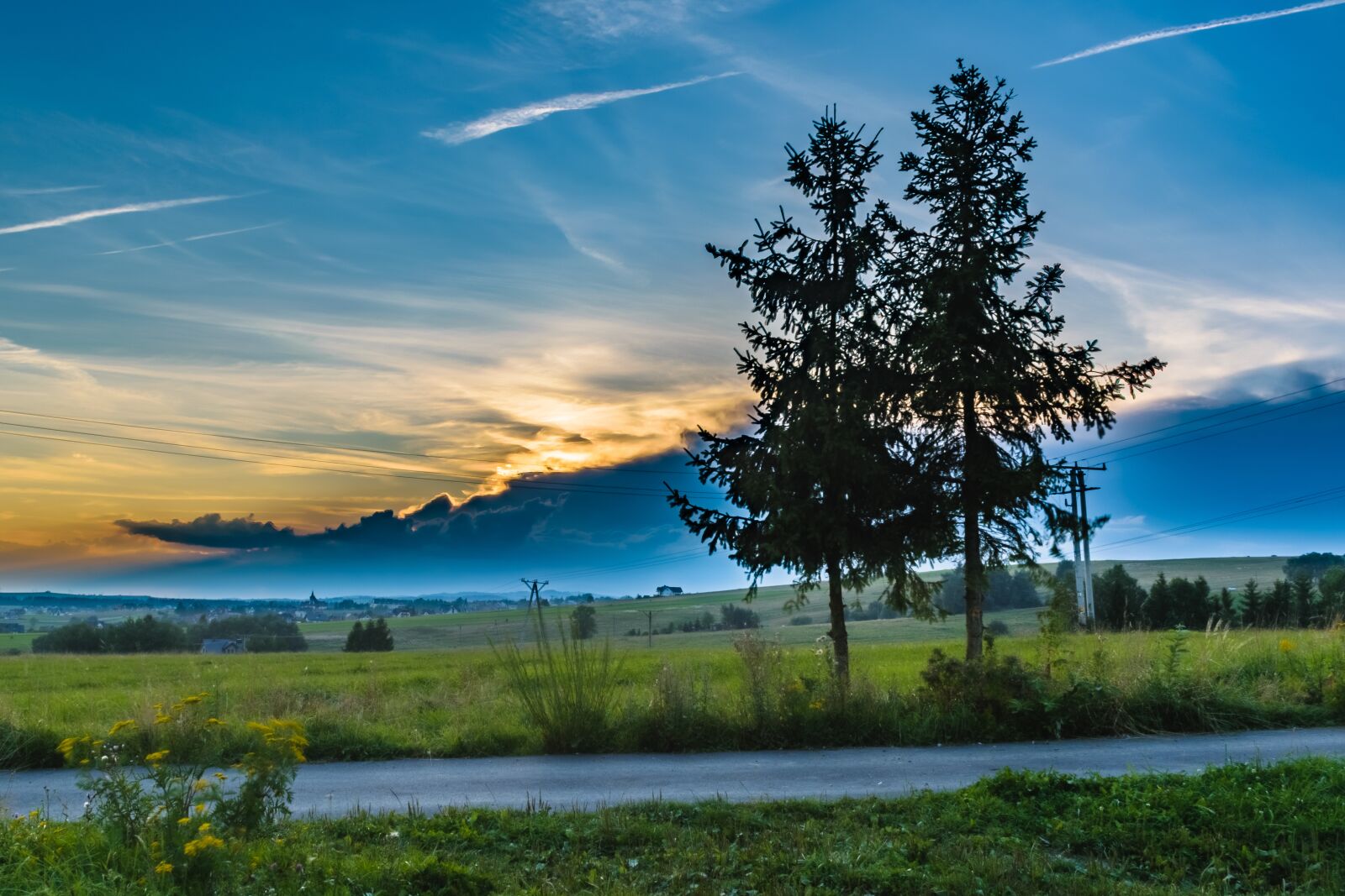 Nikon D5300 sample photo. Tree, sunset, night photography