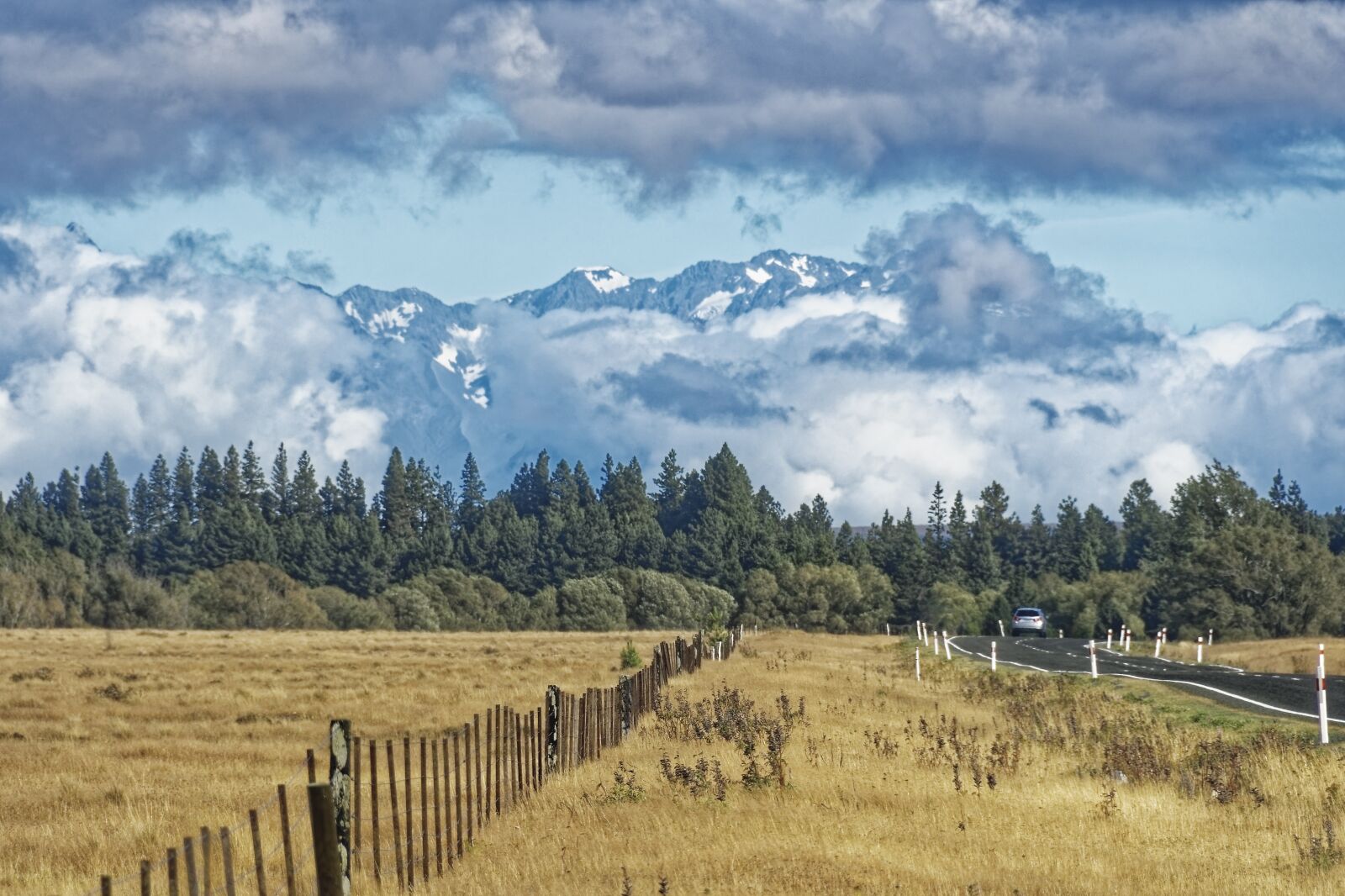 Nikon D500 sample photo. New zealand, mackenzie country photography