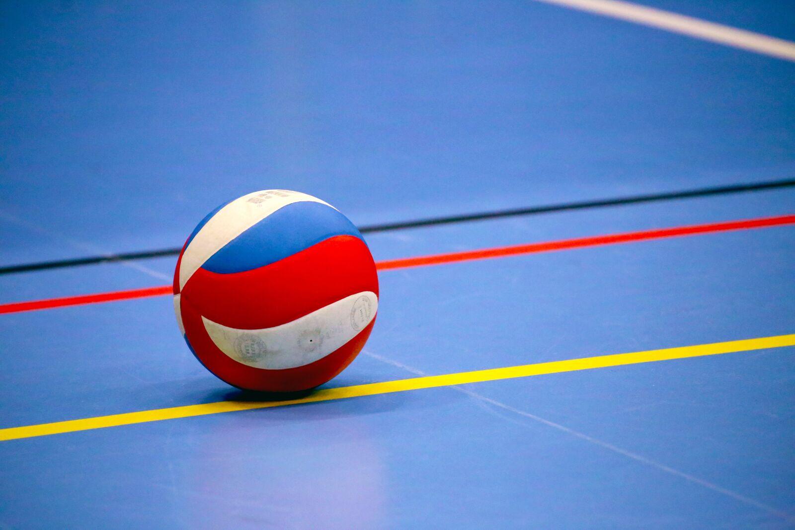 Canon EOS 6D sample photo. Volleyball, ball, sport photography