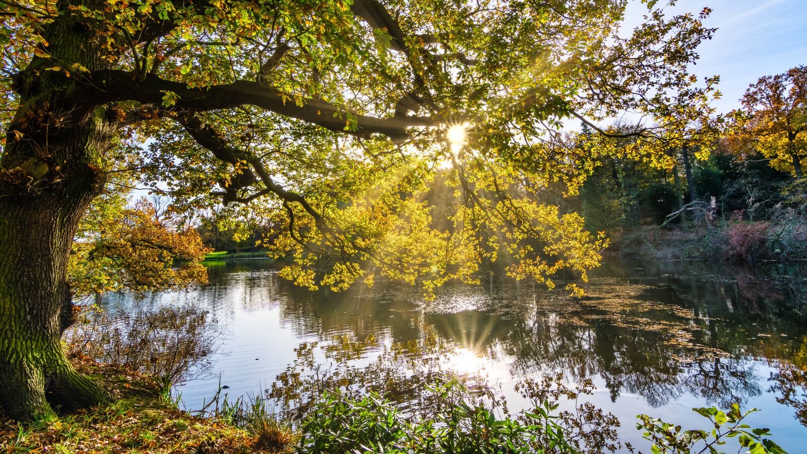Tokina AT-X Pro 11-16mm F2.8 DX II sample photo. Autumn, lake, sunrays photography