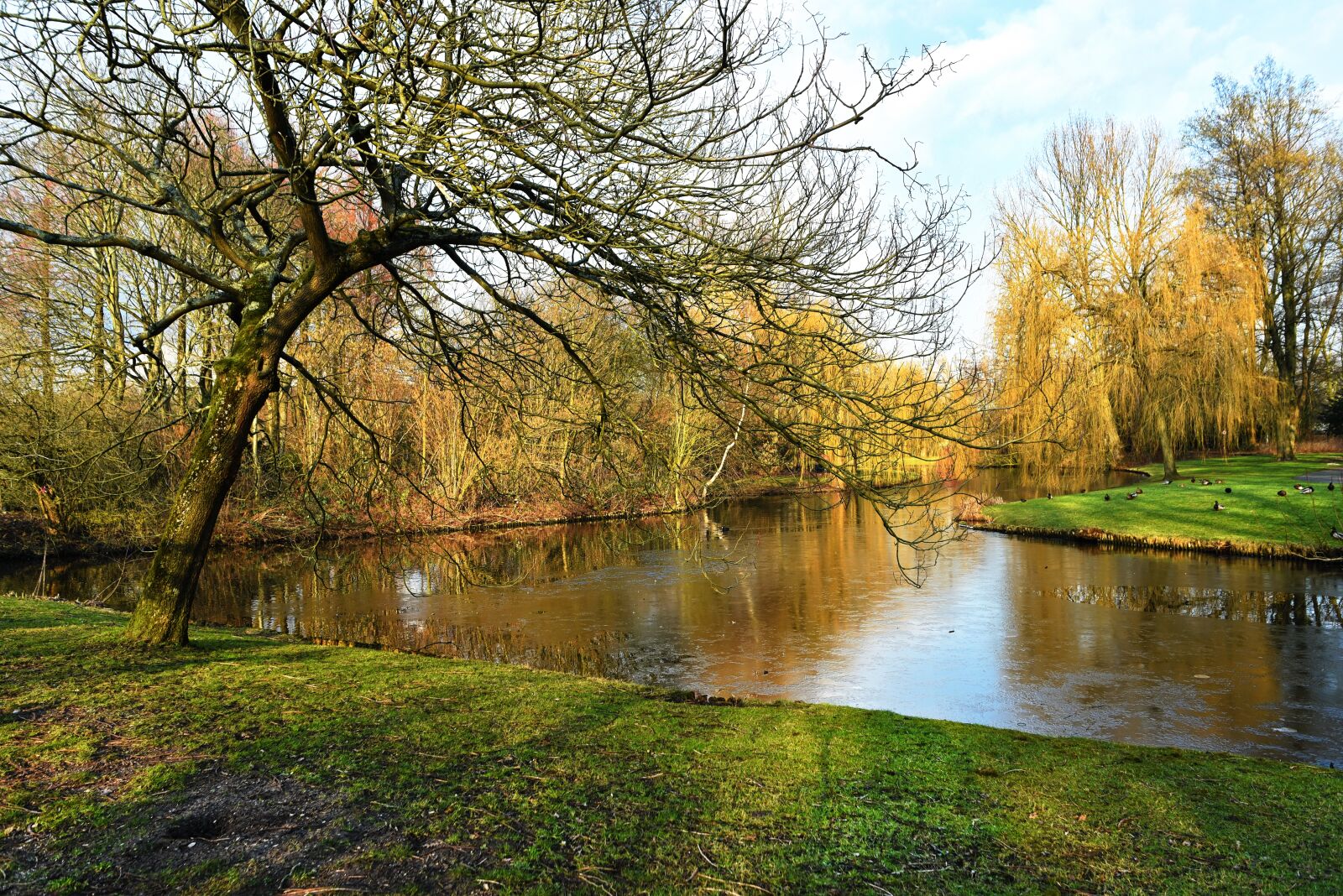 Nikon D750 sample photo. Pond, water, lake photography
